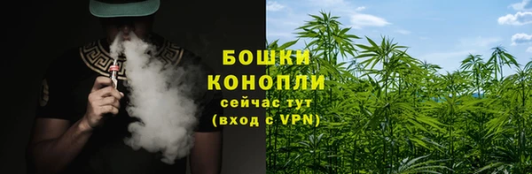 хмурый Каменногорск