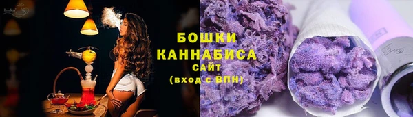 шишки Каменка