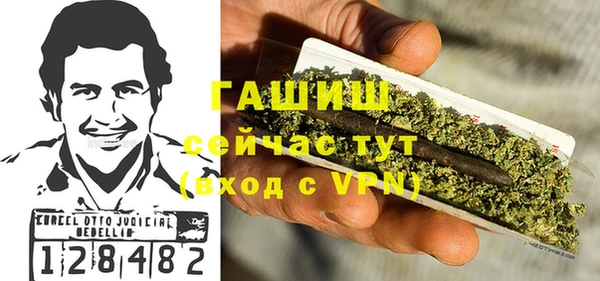 шишки Каменка