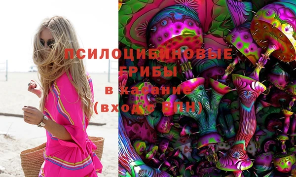 шишки Каменка