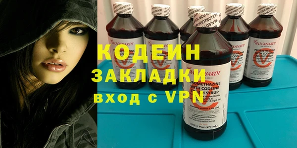 хмурый Каменногорск