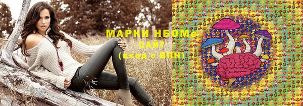 шишки Каменка