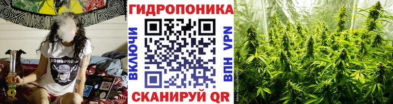 Шишки марихуана ГИДРОПОН  Купить  Правдинск 